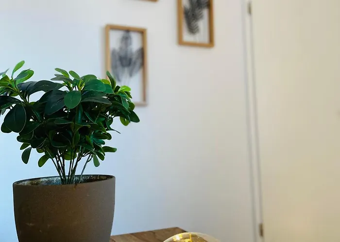 Apartman Cinema - Kitchen & Balcony *